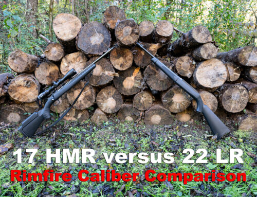 22 WMR vs 17 HMR | What's Better & What's the Difference?