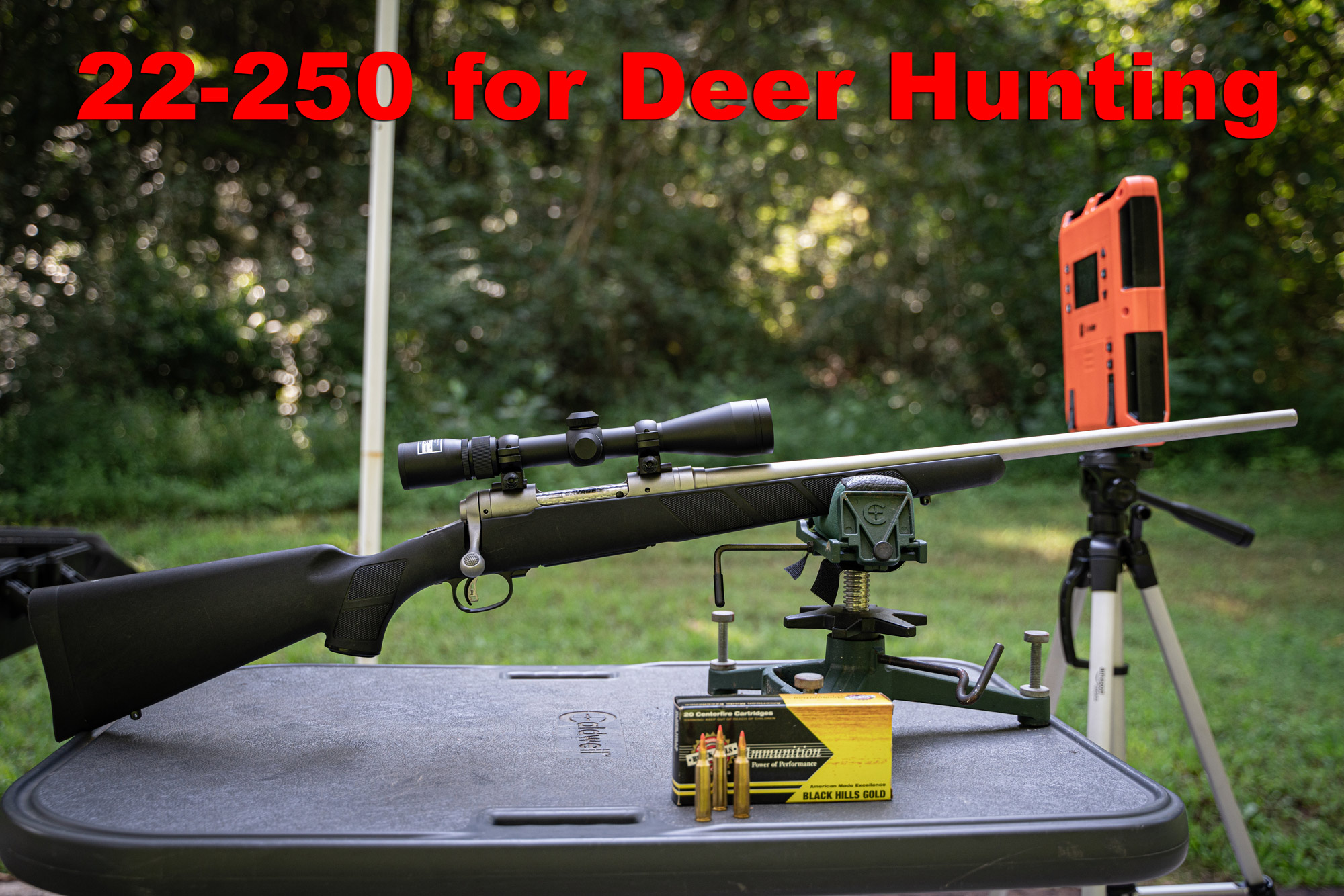 22 250 good for deer