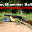 360 buckhammer ballistics