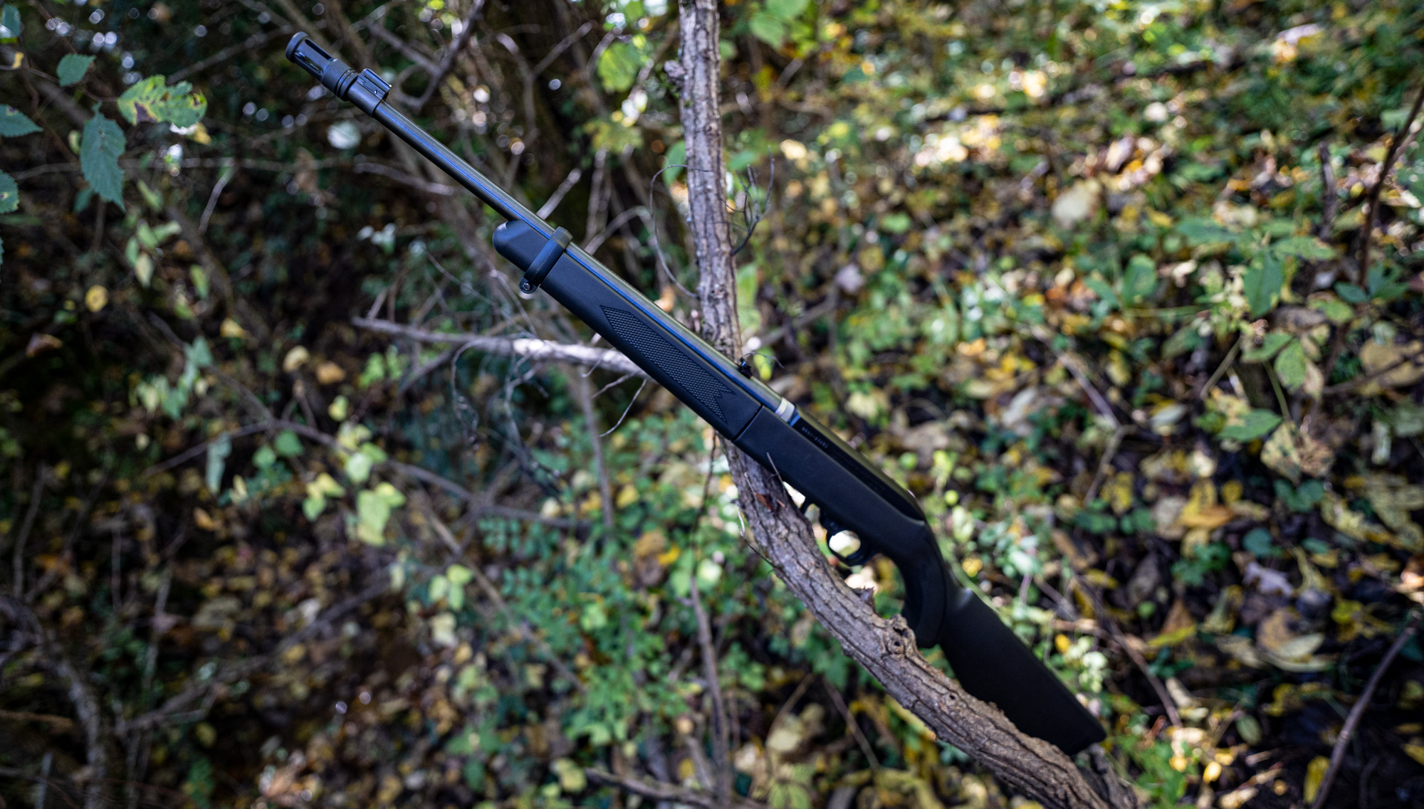 The Ruger 10-22, a very popular first rifle option for American shooters