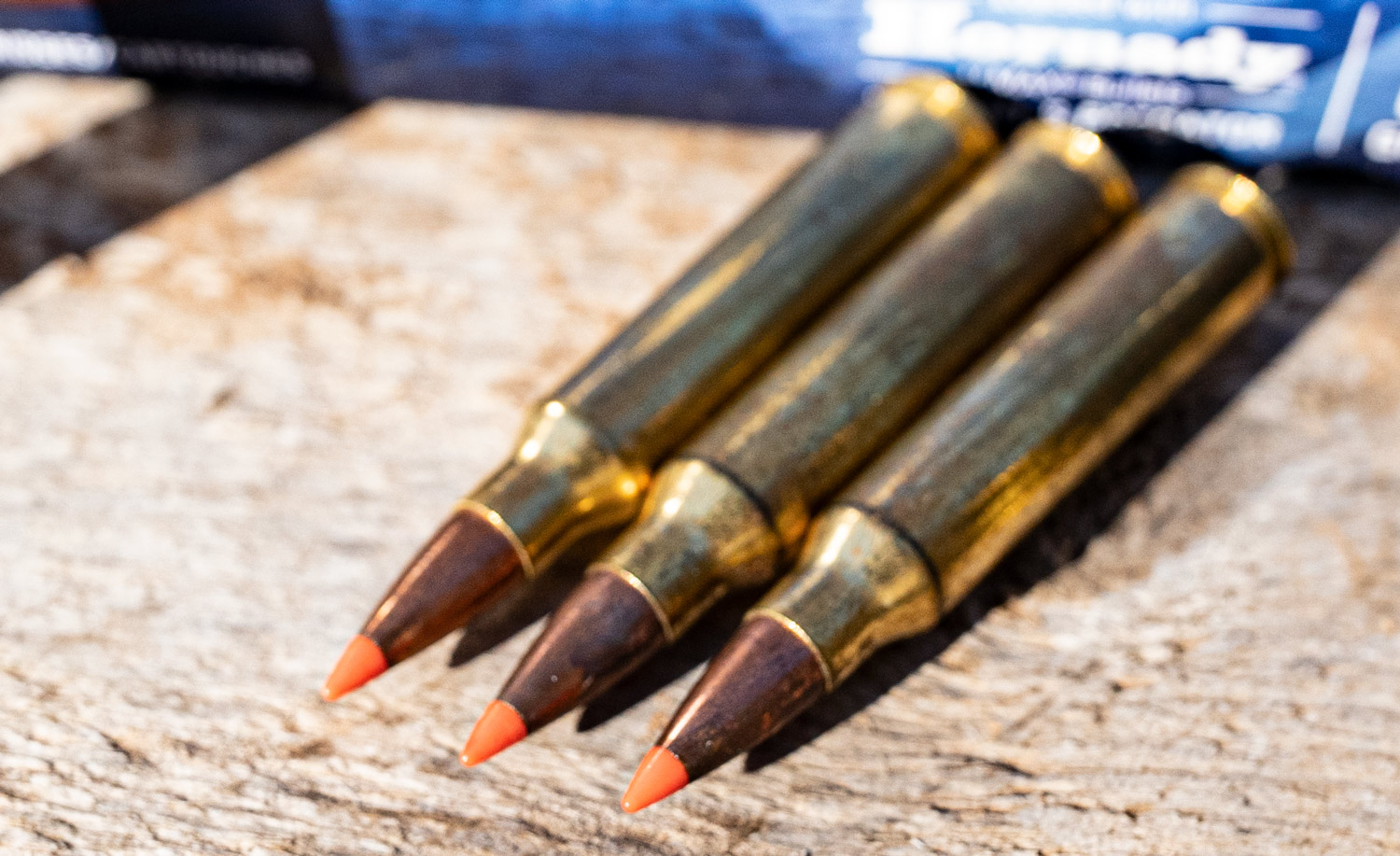 a close up of poly tipped ammo made by Hornady